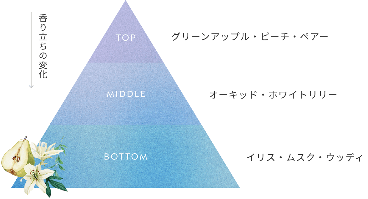 香り立ちの変化 TOP グリーンアップル・ピーチ・ペアー MIDDLE オーキッド・ホワイトリリー BOTTOM イリス・ムスク・ウッディ